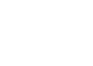 Flourish Colour Logo (1)